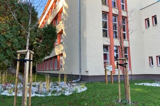 Zväčšiť fotografiu - Kvetinový dážď